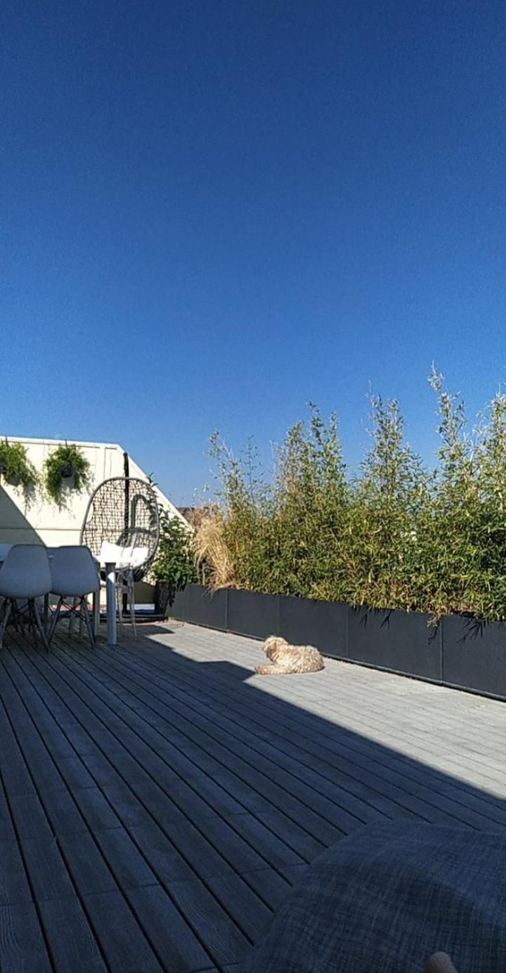 Appartement Attique Strasbourg Extérieur photo